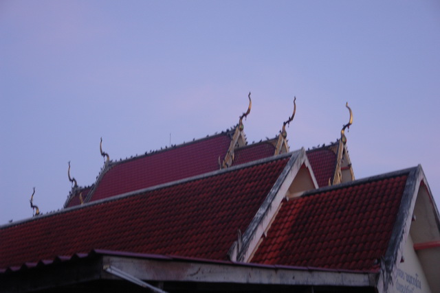 Photo 006